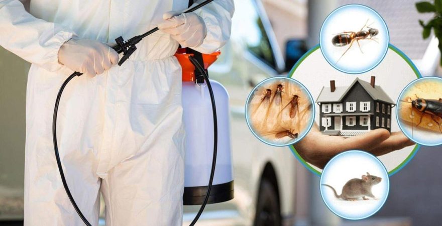 Karaköprü Böcek İlaçlama